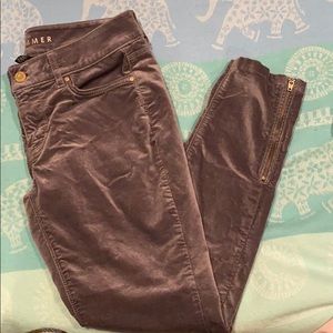 WHITE HOUSE BLACK MARKET | Gray Velvet Pants